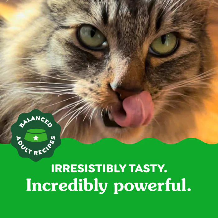 FELINE GREENIES Adult Natural Dental Care Cat Treats, Catnip Flavor, 9.75 oz. Tub - Image 4