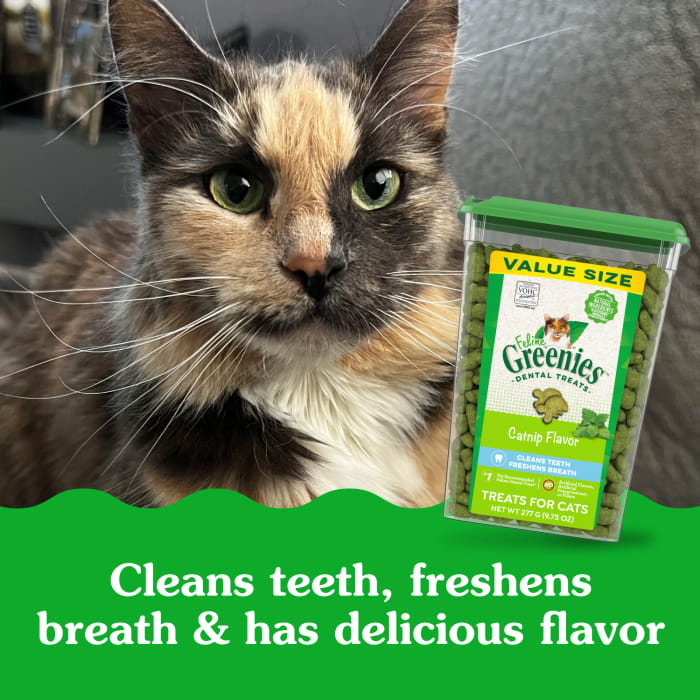 FELINE GREENIES Adult Natural Dental Care Cat Treats, Catnip Flavor, 9.75 oz. Tub - Image 5