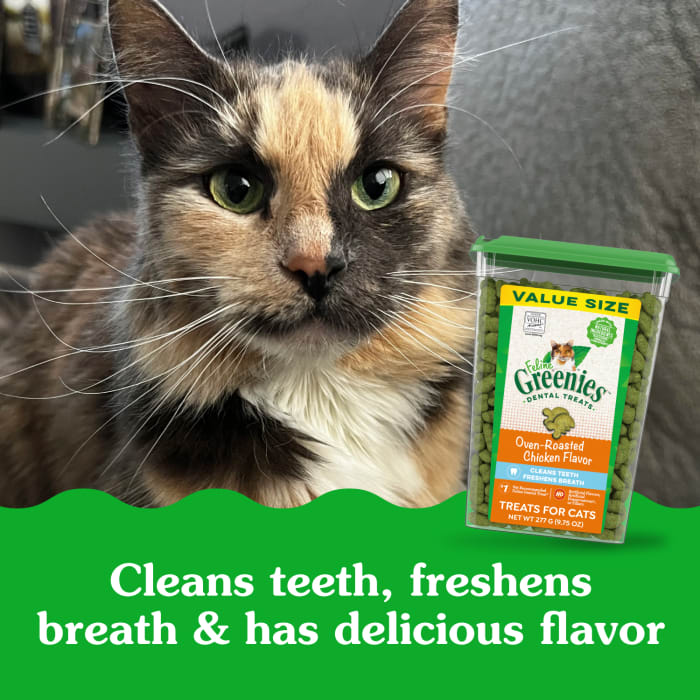 FELINE GREENIES Adult Dental Cat Treats, Oven Roasted Chicken Flavor, 9.75 oz. Tub - Image 5
