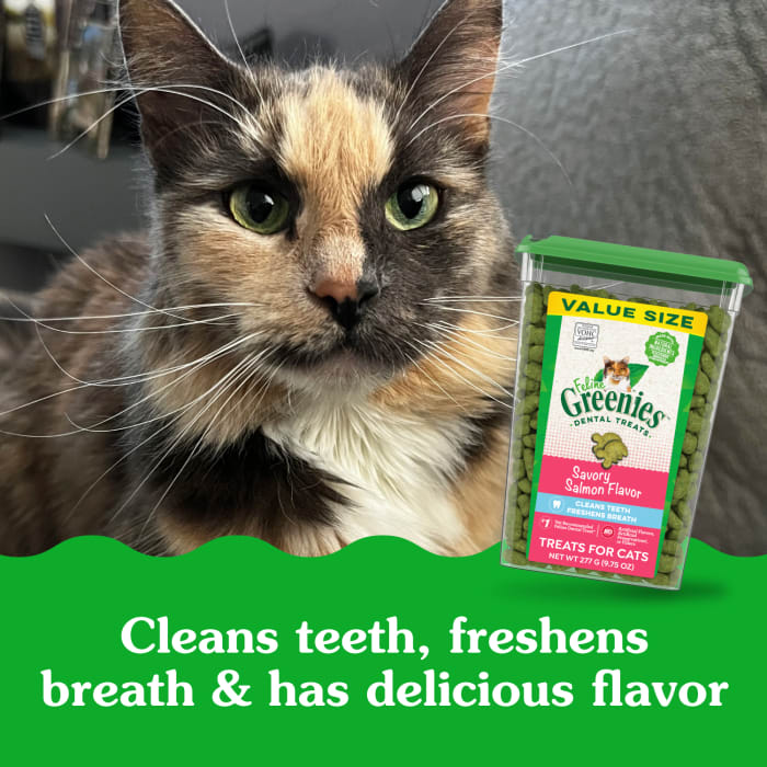 FELINE GREENIES Adult Dental Cat Treats, Savory Salmon Flavor, 9.75 oz. Tub - Image 5