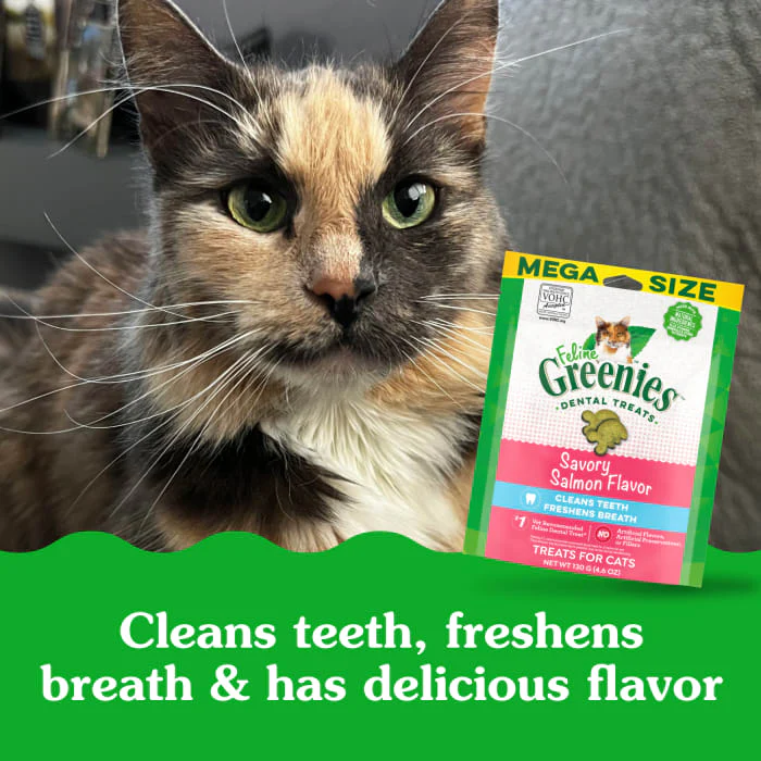 FELINE GREENIES Adult Natural Dental Care Cat Treats, Savory Salmon Flavor, 4.6 oz. Pouch - Image 5
