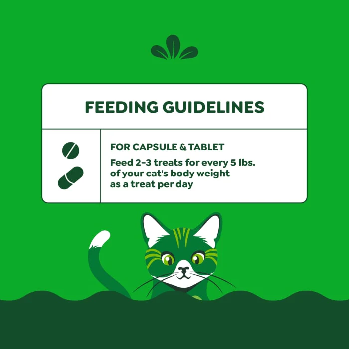 FELINE GREENIES PILL POCKETS for Cats Natural Soft Cat Treats, Catnip Flavor, 1.6 oz. Pack (45 Treats) - Image 8