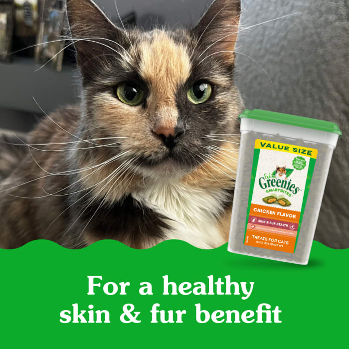 FELINE GREENIES SMARTBITES Skin & Fur Health Crunchy and Soft Textured Adult Natural Cat Treats, Chicken Flavor, 16 oz. Tub - Image 4