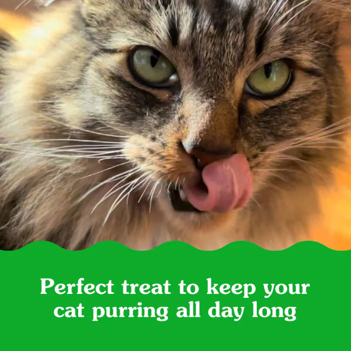 FELINE GREENIES SMARTBITES Skin & Fur Health Crunchy and Soft Textured Adult Natural Cat Treats, Chicken Flavor, 16 oz. Tub - Image 6