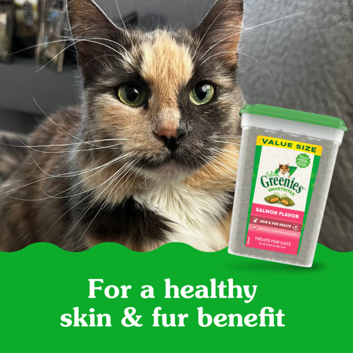 FELINE GREENIES SMARTBITES Skin & Fur Health Crunchy and Soft Natural Cat Treats, Salmon Flavor, 16 oz. Tub - Image 4