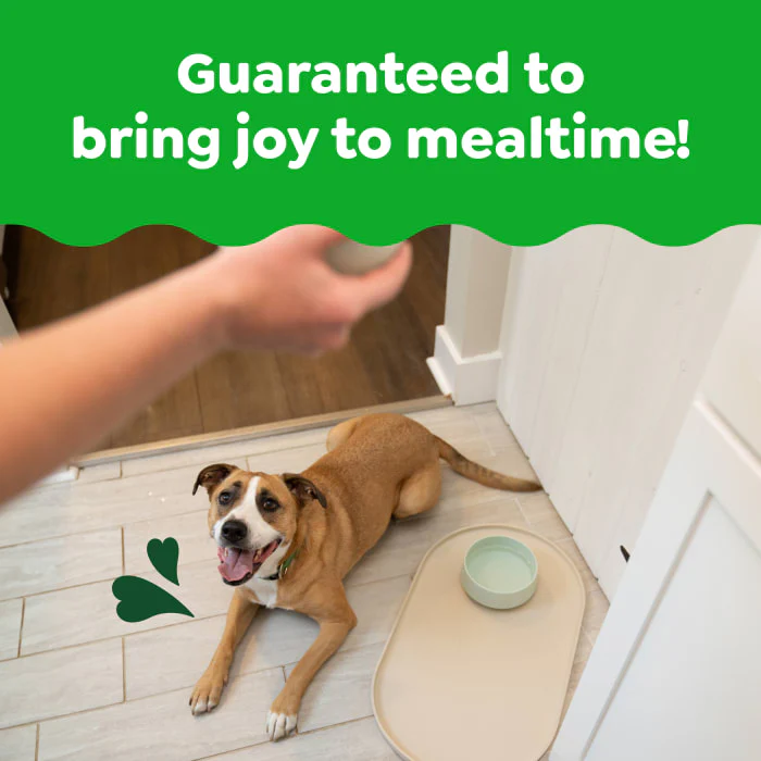 Greenies Smart Essentials Adult High Protein Dry Dog Food Real Chicken & Rice Recipe, 15 lb. Bag - Image 4