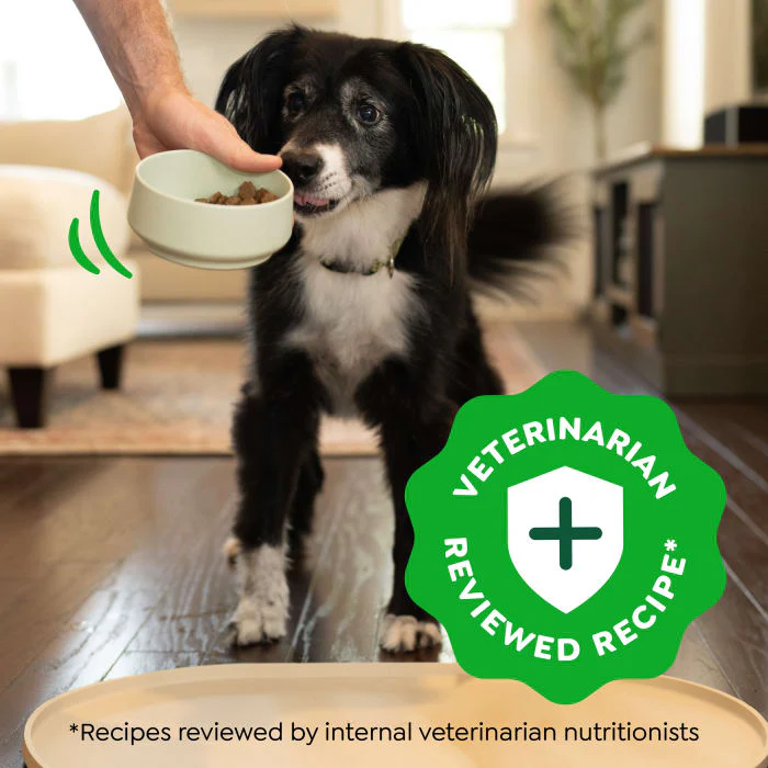 Greenies Smart Essentials Adult High Protein Dry Dog Food Real Chicken & Rice Recipe, 30 lb. Bag - Image 4