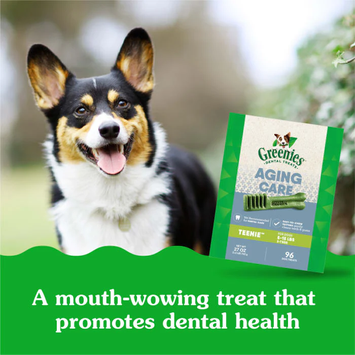 GREENIES Aging Care TEENIE Natural Dog Dental Care Chews Oral Health Dog Treats, 27 oz. Pack (96 Treats) - Image 5