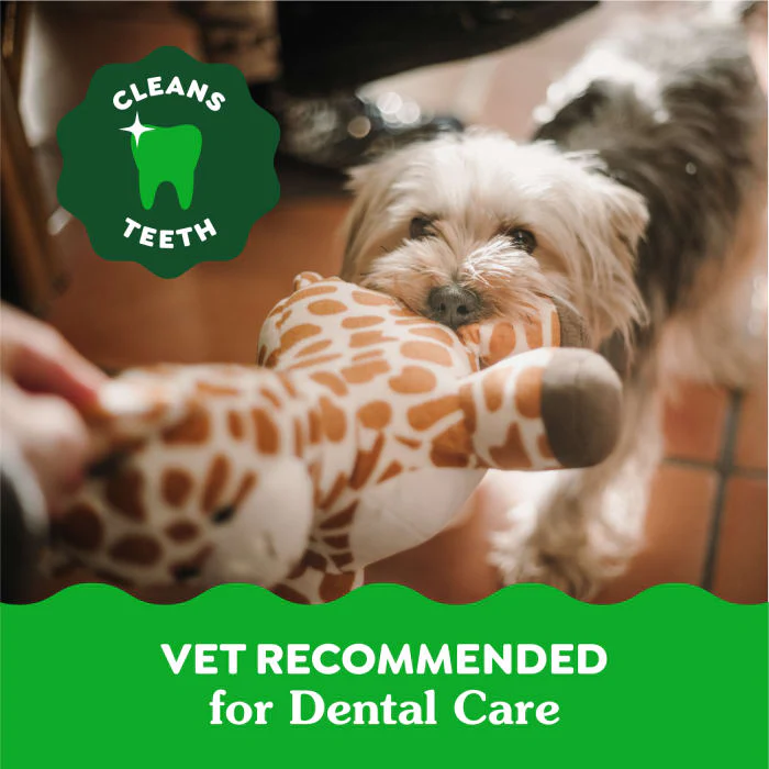 GREENIES Aging Care Regular Natural Dog Dental Care Chews Oral Health Dog Treats, 27 oz. Pack (27 Treats) - Image 7