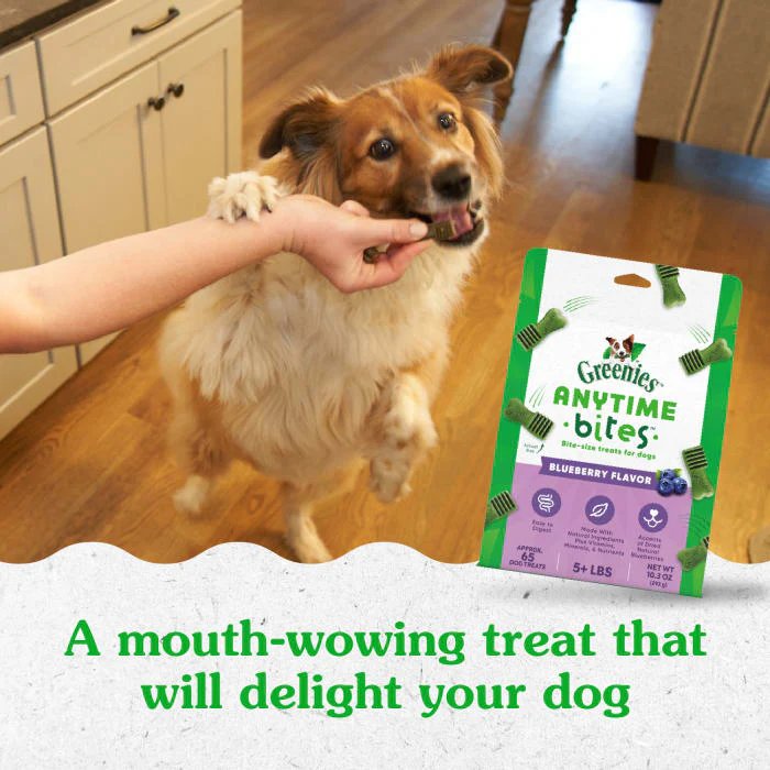 GREENIES ANYTIME BITES Dog Treats, Blueberry Flavor, 10.3 oz. bag - Image 4