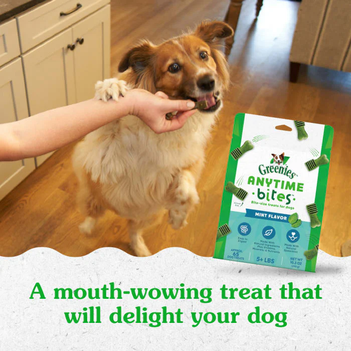 GREENIES ANYTIME BITES Dog Treats, Mint Flavor, 10.3 oz. bag - Image 4
