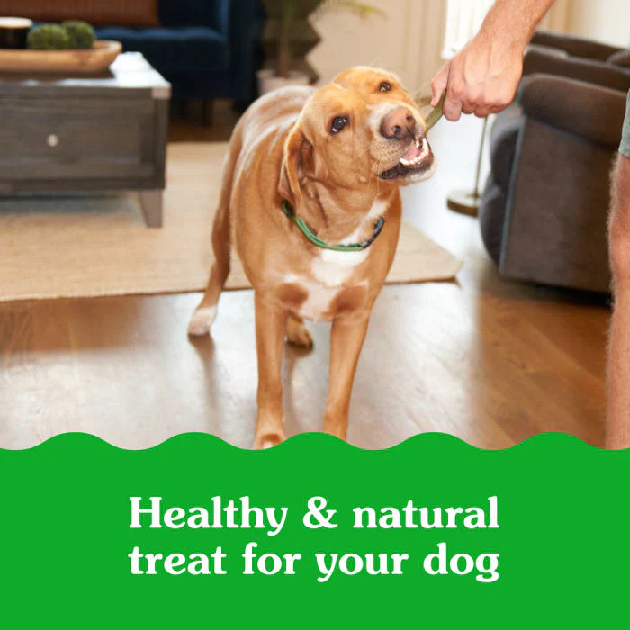 GREENIES SMARTBITES Immune Support Crunchy & Soft Dog Treats, Chicken Flavor, 8 oz. Pack - Image 4