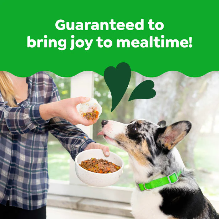 Greenies Smart Topper Wet Mix-In for Dogs, Chicken with Green Beans & Beef Pack, 8 Trays of 2 oz. - Image 4