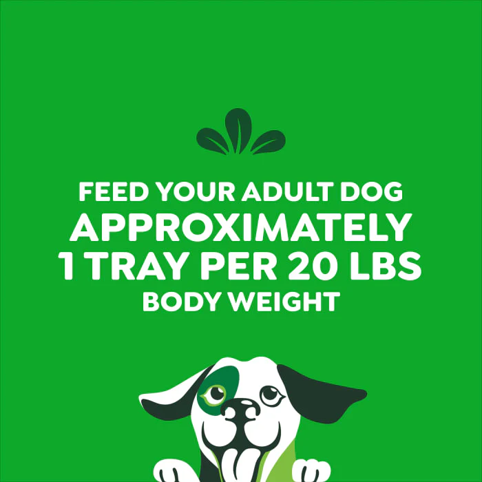 Greenies Smart Topper Wet Mix-In for Dogs, Chicken with Green Beans & Beef Pack, 8 Trays of 2 oz. - Image 10