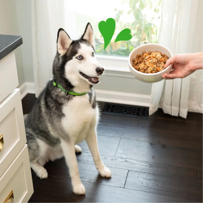 Greenies Smart Topper Wet Mix-In for Dogs, Chicken, Beef, Sweet Potatoes, Potatoes & Spinach Recipe, 2 oz. Tray - Image 3