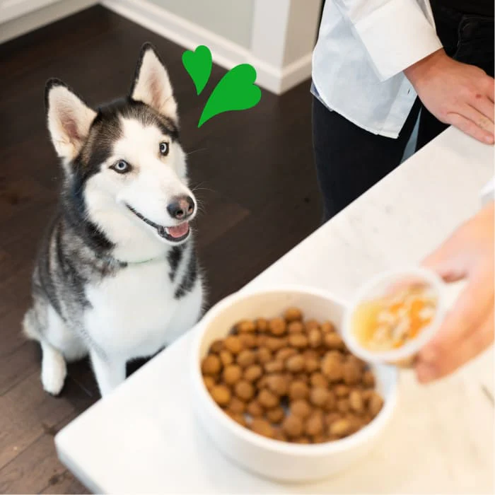 Greenies Smart Topper Wet Mix-In for Dogs, Duck, Broccoli, Carrots & Barley Recipe, 2 oz. Tray - Image 5