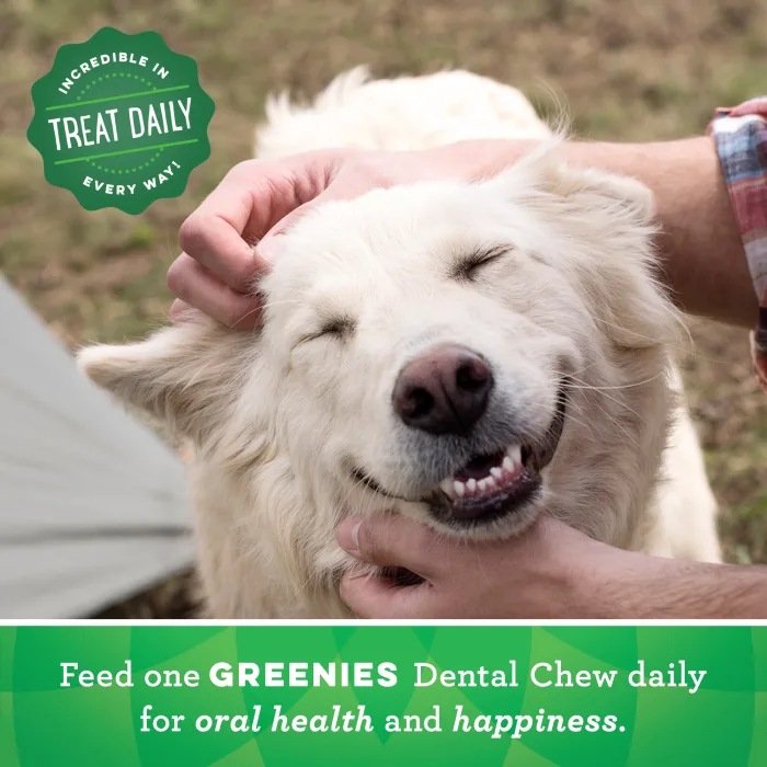GREENIES Gingerbread Petite Dental Treats, 12 oz. - Image 9