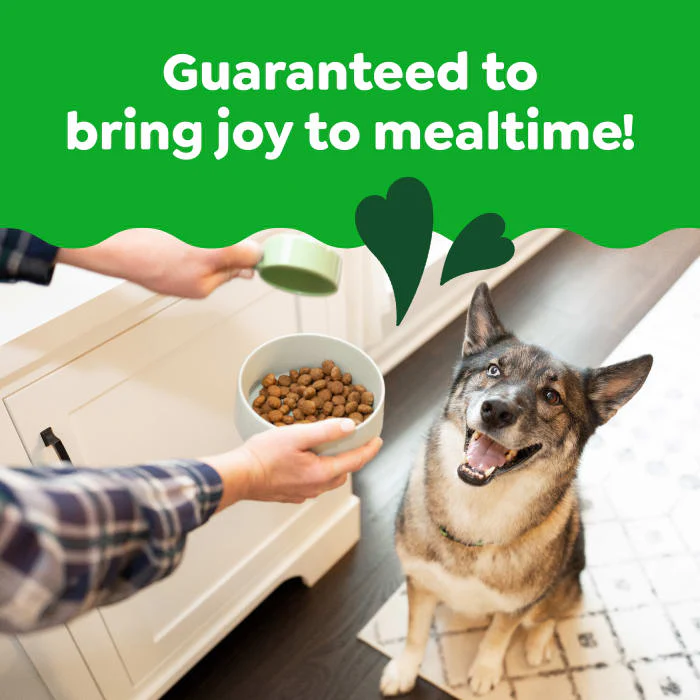 Greenies Smart Essentials Adult Large Breed High Protein Dry Dog Food Real Chicken & Rice Recipe, 30 lb. Bag - Image 4