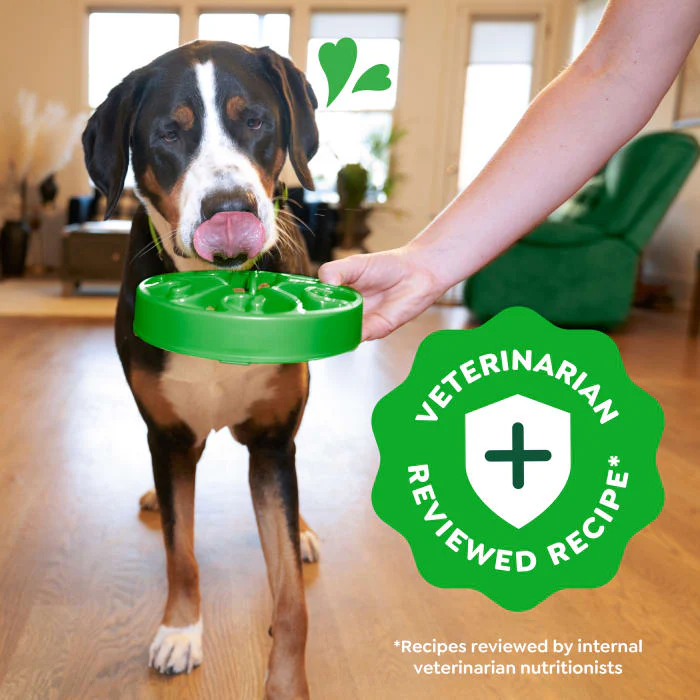 Greenies Smart Essentials Adult Large Breed High Protein Dry Dog Food Real Chicken & Rice Recipe, 30 lb. Bag - Image 5
