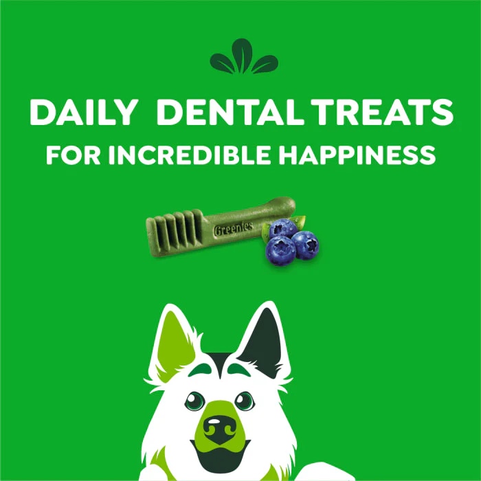 GREENIES Large Natural Dog Dental Care Chews Oral Health Dog Treats Blueberry Flavor, 12 oz. Pack (8 Treats) - Image 9