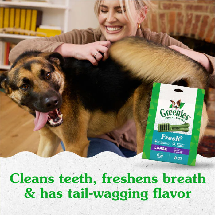 GREENIES Large Natural Dog Dental Care Chews Oral Health Dog Treats Fresh Flavor, 12 oz. Pack (8 Treats) - Image 4