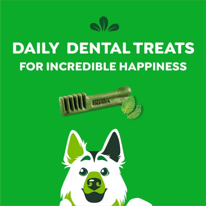 GREENIES Large Natural Dog Dental Care Chews Oral Health Dog Treats Fresh Flavor, 12 oz. Pack (8 Treats) - Image 9
