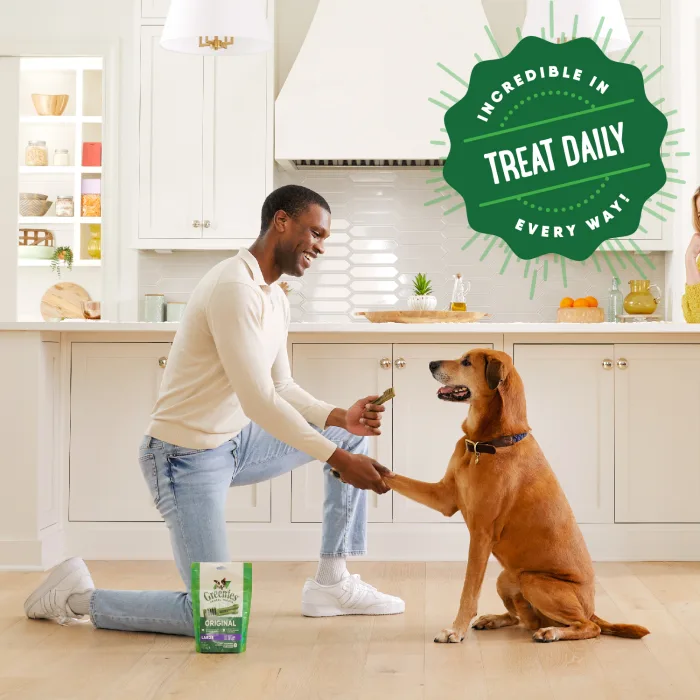 GREENIES Sweet Potato Flavored Large Dental Treats, 8 Count - Image 4