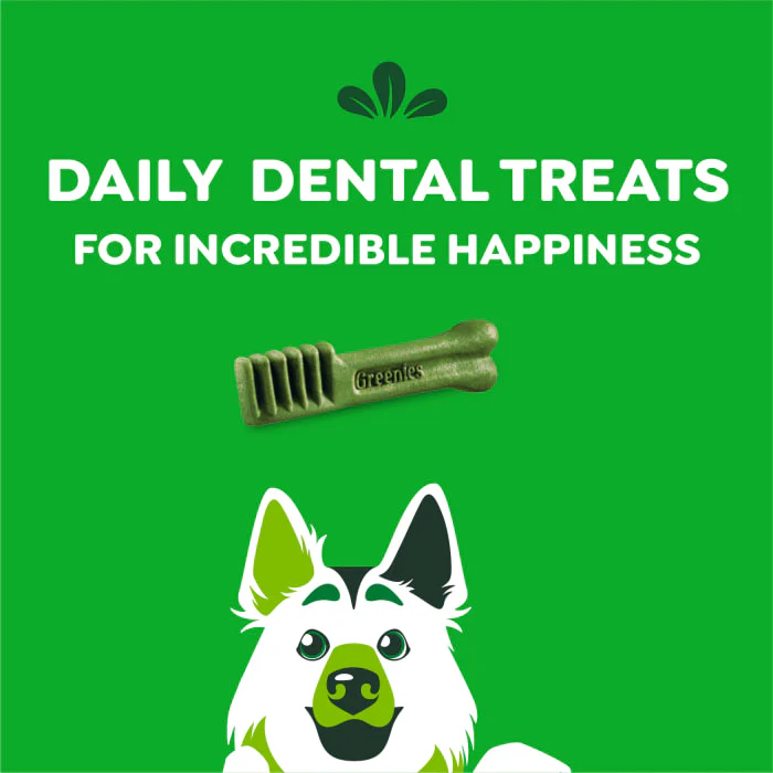 GREENIES Original Large Natural Dog Dental Care Chews Oral Health Dog Treats, 36 oz. Pack (24 Treats) - Image 9