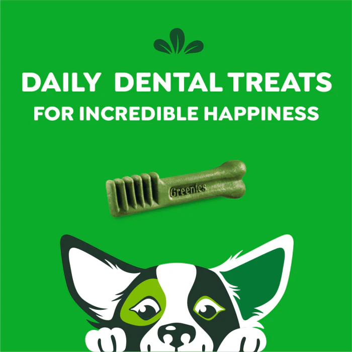 GREENIES Original Petite Natural Dental Care Dog Treats, 6 oz. Pack (10 Treats) - Image 9