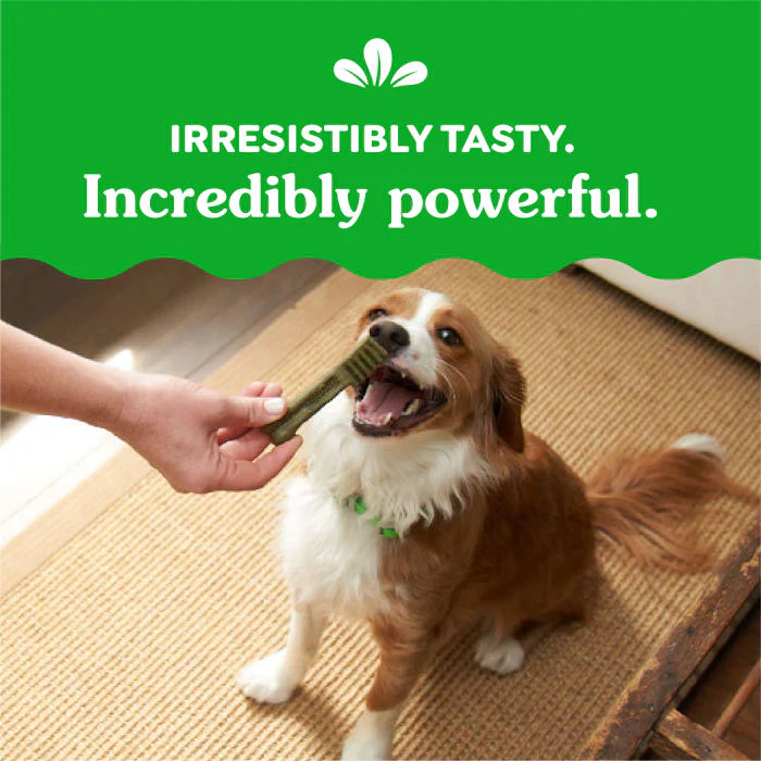 GREENIES Original Petite Natural Dog Dental Treats, 3 oz. Pack (5 Treats) - Image 7