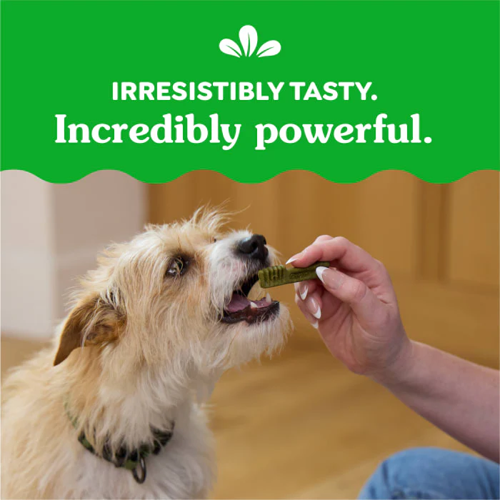 GREENIES Original TEENIE Natural Dog Dental Treats, 3 oz. Pack (11 Treats) - Image 7