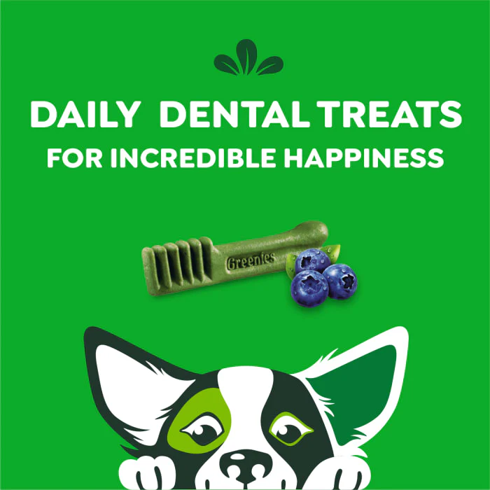 GREENIES Petite Natural Dog Dental Care Chews Oral Health Dog Treats Blueberry Flavor, 12 oz. Pack (20 Treats) - Image 9