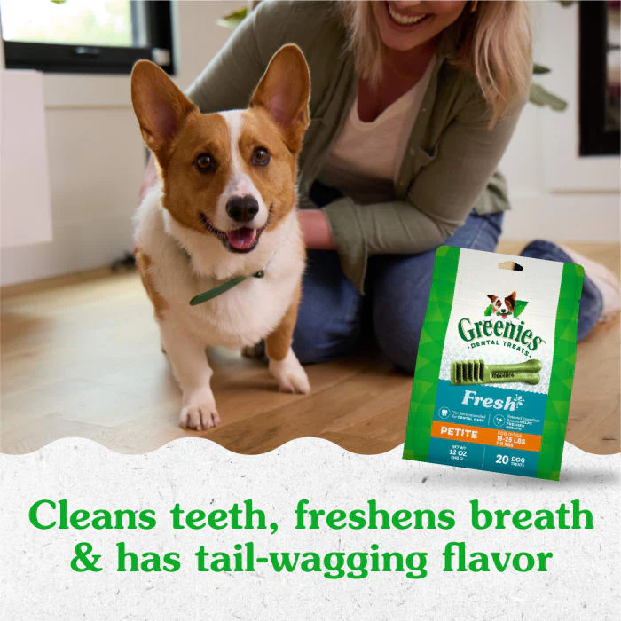 GREENIES Petite Natural Dog Dental Care Chews Oral Health Dog Treats Fresh Flavor, 12 oz. Pack (20 Treats) - Image 4