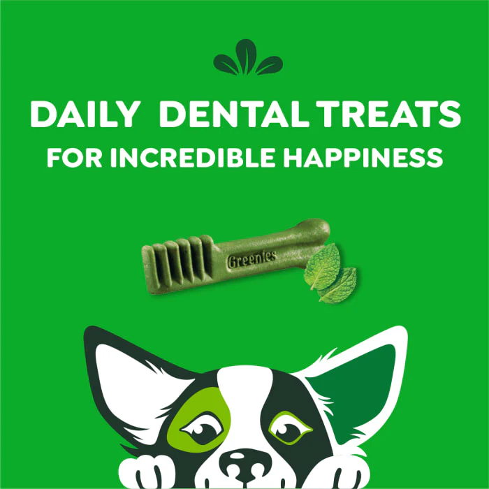 GREENIES Petite Natural Dog Dental Care Chews Oral Health Dog Treats Fresh Flavor, 12 oz. Pack (20 Treats) - Image 9