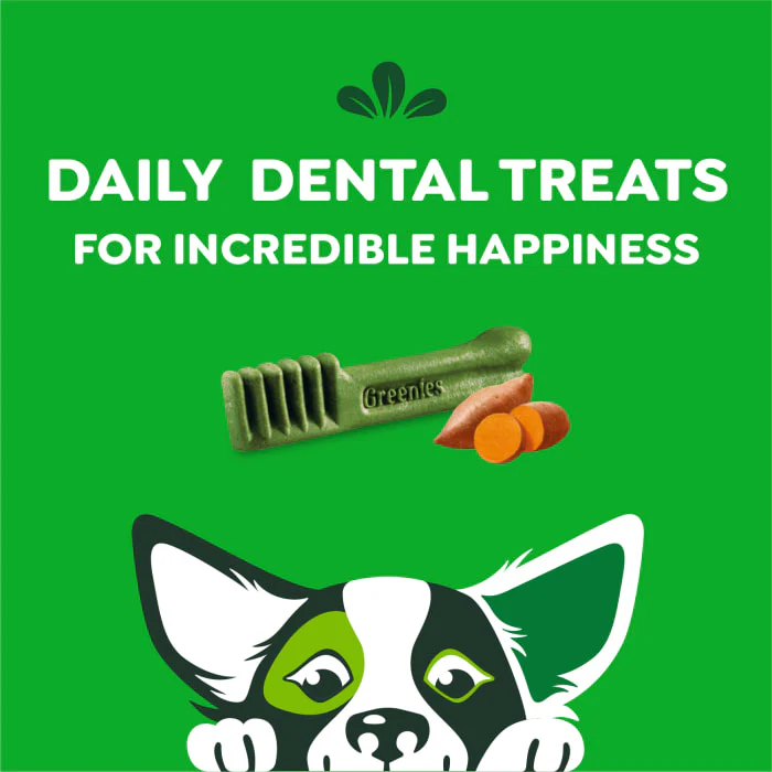 GREENIES Petite Natural Dog Dental Treats, Sweet Potato Flavor, 12 oz. Pack (20 Treats) - Image 9