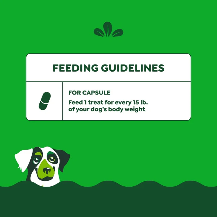 Greenies Pill Pockets for Dogs Large, Capsule Size Dog Treats, Real Peanut Butter, 15.8 oz., 60 Pack - Image 9