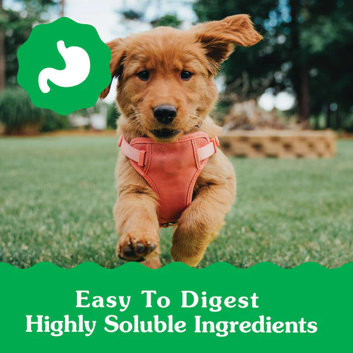 GREENIES Puppy Petite Size Natural Dental Dog Treats, 12 oz. Pack (20 Treats) - Image 4