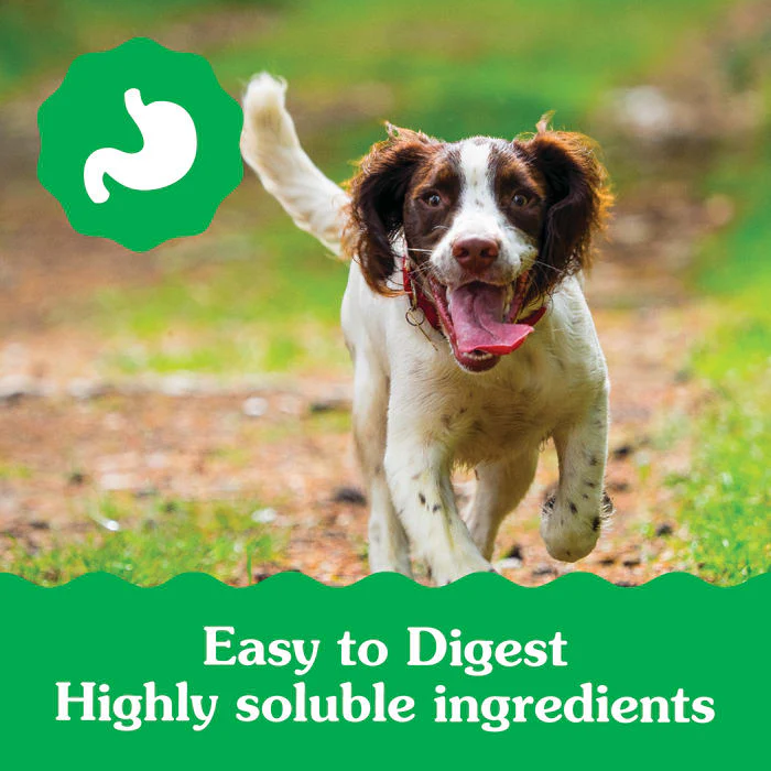 GREENIES Puppy Regular Size Natural Dental Dog Treats, 12 oz. Pack (12 Treats) - Image 5
