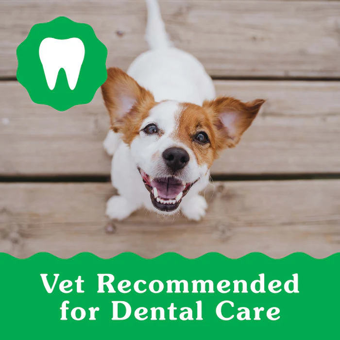 GREENIES Puppy Teenie Size Natural Dental Dog Treats, 12 oz. Pack (43 Treats) - Image 4