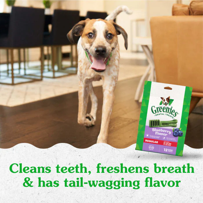 GREENIES Regular Natural Dog Dental Care Chews Oral Health Dog Treats Blueberry Flavor, 12 oz. Pack (12 Treats) - Image 4