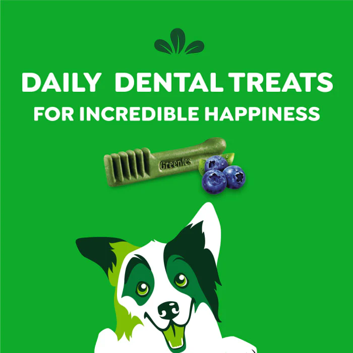 GREENIES Regular Natural Dog Dental Care Chews Oral Health Dog Treats Blueberry Flavor, 12 oz. Pack (12 Treats) - Image 9
