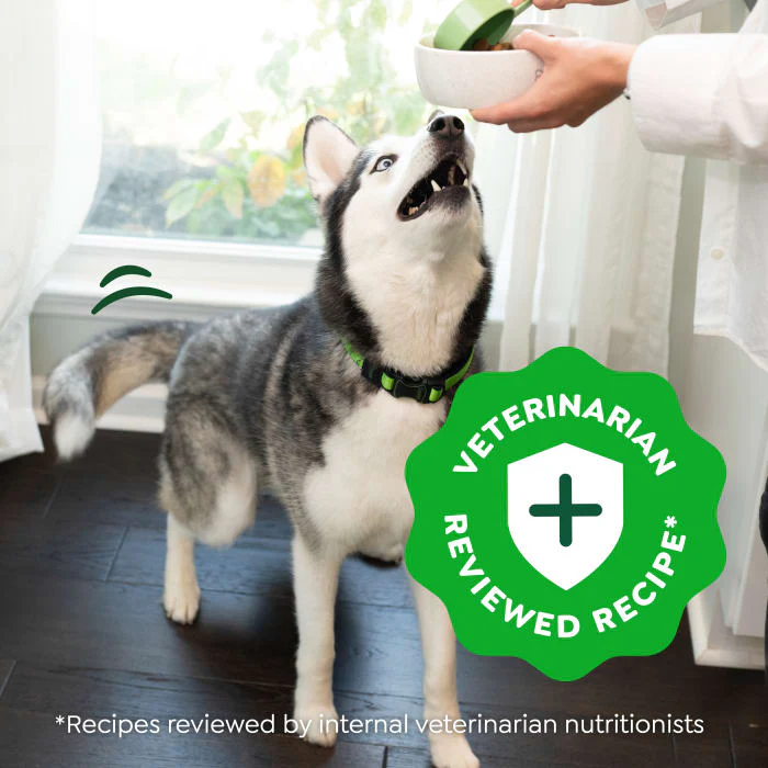 Greenies Smart Essentials Sensitive Digestion & Skin Adult Dry Dog Food Real Lamb & Brown Rice Recipe, 15 lb. Bag - Image 5