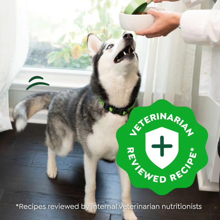 Greenies Smart Essentials Sensitive Digestion & Skin Adult Dry Dog Food Real Lamb & Brown Rice Recipe, 30 lb. Bag - Image 4