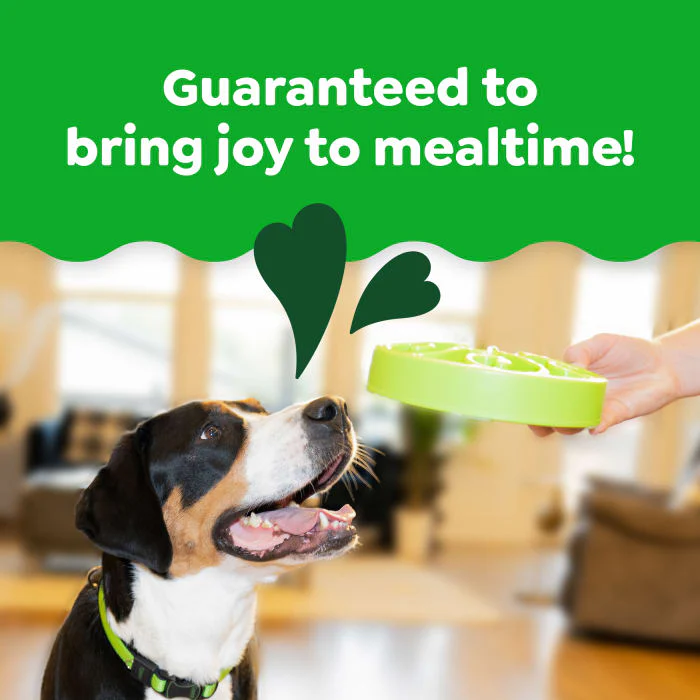 Greenies Smart Essentials Sensitive Digestion & Skin Adult Dry Dog Food Real Lamb & Brown Rice Recipe, 6 lb. Bag - Image 5