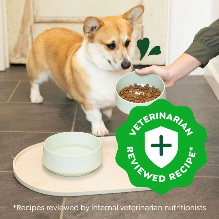 Greenies Smart Essentials Small Breed Adult High Protein Dry Dog Food Real Chicken & Rice Recipe, 13.5 lb. Bag - Image 4