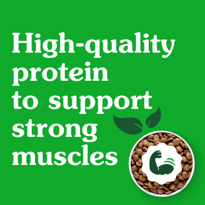 Greenies Smart Essentials Small Breed Adult High Protein Dry Dog Food Real Chicken & Rice Recipe, 13.5 lb. Bag - Image 7