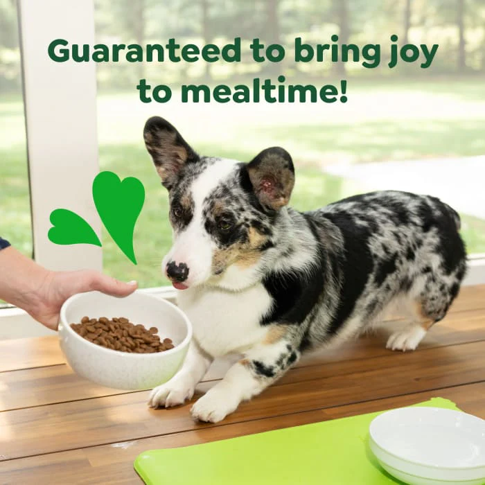 Greenies Smart Essentials Small Breed Adult High Protein Dry Dog Food Real Chicken & Rice Recipe, 5.5 lb. Bag - Image 5