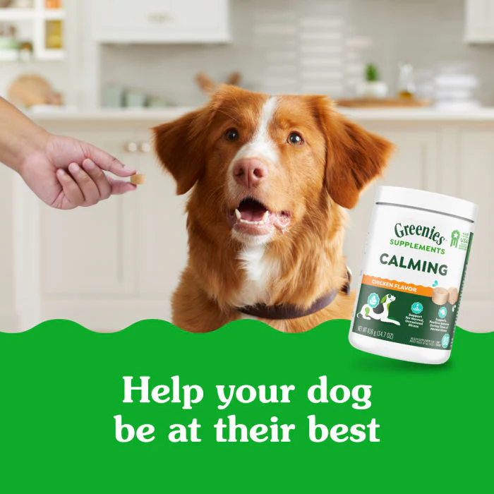 Greenies Supplements Calming Chews for Dogs Chicken Flavor, 14.7 oz. Container of 80 ct. Soft Chews - Image 4