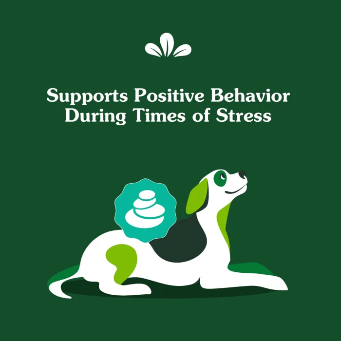 Greenies Supplements Calming Chews for Dogs Chicken Flavor, 14.7 oz. Container of 80 ct. Soft Chews - Image 5