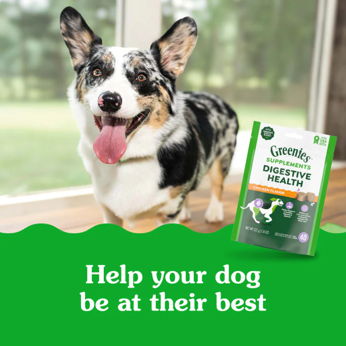 Greenies Supplements Digestive Health with Probiotics for Dogs Chicken Flavor, 7.8 oz. Pouch of 40 ct. Chews - Image 4